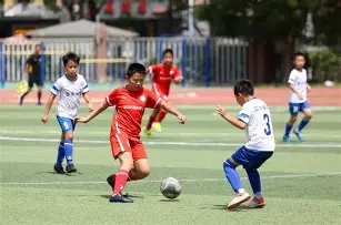 冰雪盛宴,奔向,米兰,半岛体育,半岛体育官网,半岛体育官网玩家首选