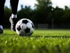 海港止住连,败魔咒,需防莱昂纳,半岛体育,半岛体育官网,半岛体育官网玩家首选