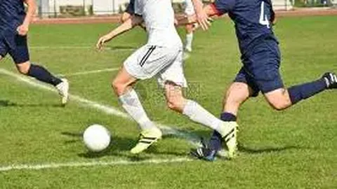 亲子同行徒步鶴咀：领略鲸骨之谜、雷音洞胜景，70%平坦路径轻松畅游