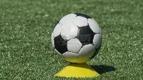 “奚梓越在亚洲摔跤锦标赛古典式60公斤级荣获铜牌”